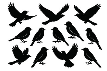 Collection of silhouetted birds in various flying and resting positions against a plain background