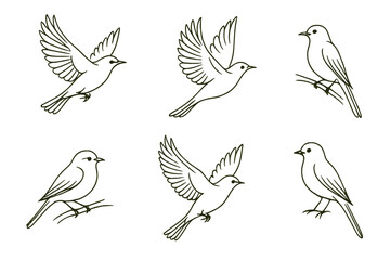 Fototapeta premium Bird illustrations showcasing different poses and actions in a minimalist style on a white background