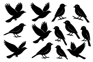 Various silhouettes showcasing different bird species in flight and perched positions in black against a white background