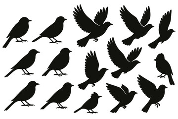 Silhouettes of various bird species in flight and perched, showcasing diversity in shapes and poses