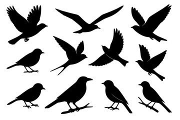 Various silhouettes of birds in flight and resting positions against a white background