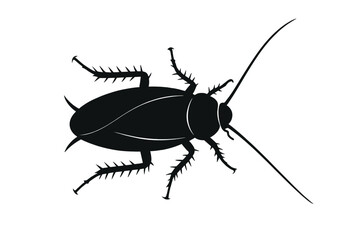 Black cockroach illustration on white background for pest control awareness and identification