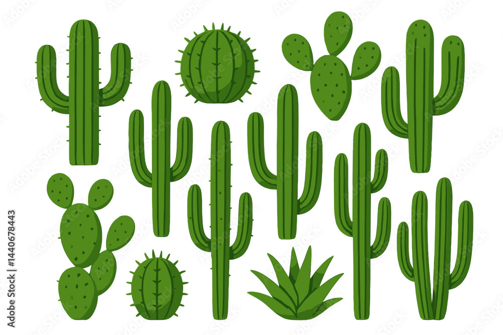 Poster colorful collection of various cacti and succulents arranged in diverse shapes and sizes in a simple