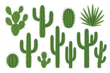 Cacti collection showcasing various types and shapes in a desert setting with vibrant green colors
