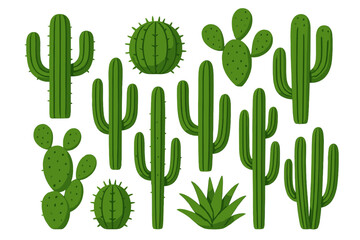 Colorful collection of various cacti and succulents arranged in diverse shapes and sizes in a simple artistic display