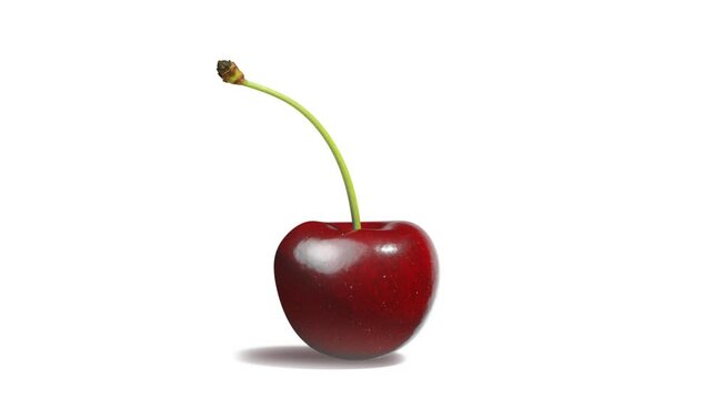 Fresh cherry, looped rotation, isolated on white background