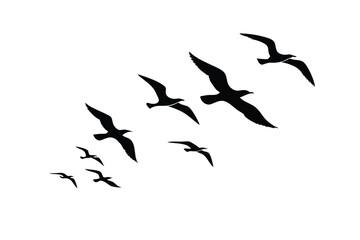 Flying Bird Silhouettes Collection – Black Vector Illustrations on White Background for Tattoo and Print Design
