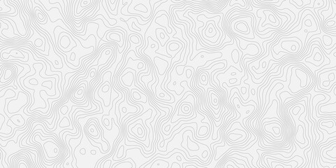 topographic white and grey light wave line topo map contour modern design white background. Wavy topography geography design map, texture, line, adventure, mountain,  vector illustration.