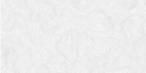 topographic white and grey light wave line topo map contour modern design white background. Wavy topography geography design map, texture, line, adventure, mountain,  vector illustration.