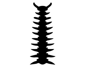 Spine Vector Illustration | Spine Silhouette SVG Design for Medical, Anatomy, Chiropractic, and Craft Projects