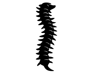 Spine Vector Illustration | Spine Silhouette SVG Design for Medical, Anatomy, Chiropractic, and Craft Projects