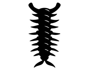 Spine Vector Illustration | Spine Silhouette SVG Design for Medical, Anatomy, Chiropractic, and Craft Projects