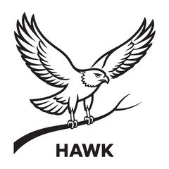 Hawk bird simple black line art image, Black bold outline vector icon, Bird vector illustration. with white background
