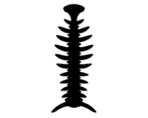 Spine Vector Illustration | Spine Silhouette SVG Design for Medical, Anatomy, Chiropractic, and Craft Projects