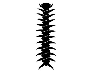 Spine Vector Illustration | Spine Silhouette SVG Design for Medical, Anatomy, Chiropractic, and Craft Projects