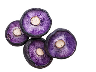 Beautiful Indigo Milk Cap Vegetables in Woodland