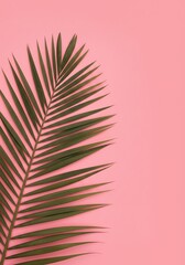 Fototapeta premium Palm Leaf on Pink Background Minimalist Tropical Flat Lay