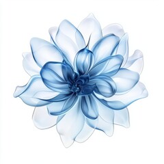 A delicate blue flower with intricate petals, showcasing natural beauty and elegance against a clean background.