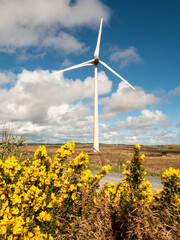 A field of wind turbines with a clear blue cloudy sky in the background. The windmills are tall and...