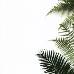 Naklejka premium Minimalist Composition of Green Fern Fronds on White Backdrop Creating a Natural and Fresh Aesthetic Perfect for Design Projects and Creative Visuals