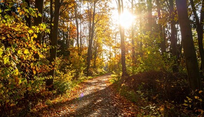 Beautiful sunlit forest path covered with colorful autumn leaves. Warm golden sunlight filters through the trees, creating a peaceful and enchanting atmosphere perfect for a serene walk through nature