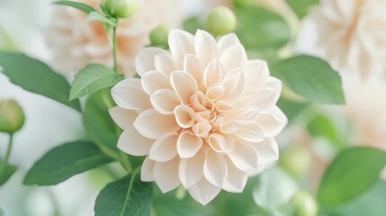 Fototapeta premium Beautiful Soft-Focus Floral Close-Up with Lush Green Leaves