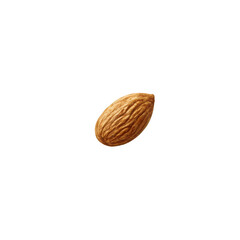Raw almond nut single isolated on transparent background