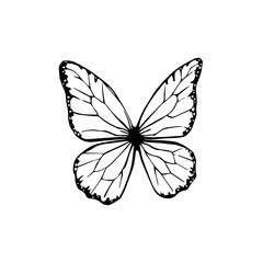 Graphic black and white butterfly wings illustration with copy space