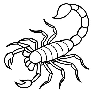 recommend clip art: Scorpion Silhouette Minimal Line Vector