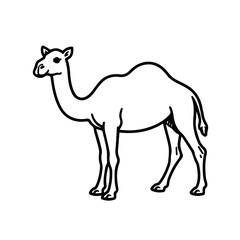 Fototapeta premium Stylized camel illustration in black and white, for educational use, with copy space