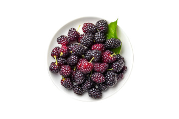 Fresh Blackberries in a Bowl Healthy Eating Delightful Snack,