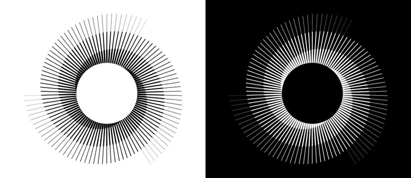 Spiral with lines in circle. 3 segments. Abstract geometric art line background, logo, icon, design element. A black figure on a white background and an equally white figure on the black side.