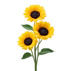 Three vibrant sunflowers with bright yellow petals and dark centers are arranged on single stem with green leaves, creating cheerful and lively display