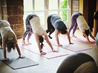 Yoga, downward dog and group stretching in class at the gym, pilates exercise and fitness. People, instructor and down facing pose for healthy body, wellness and lesson in club with coach on floor