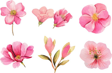 set of pink flowers
