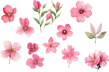 set of pink flowers