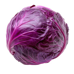 Obraz premium Harvesting purple cabbage farm food photography outdoor close-up