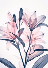 X-ray view of flowers - artistic floral composition
