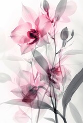 Fototapeta premium X-ray view of flowers - artistic floral composition