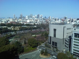 Panoramic view of tokyo skyline with urban park and modern buildings