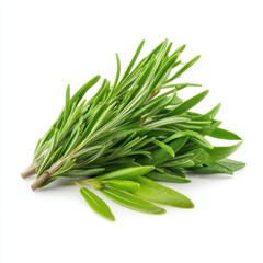 Fototapeta premium Fresh rosemary sprigs on a clean white background showcasing vibrant green hues and delicate leaf texture culinary herb aromatic spice kitchen ingredient