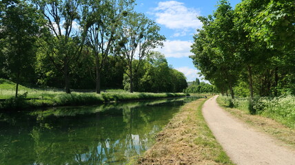 Canal de Bourgogne, paysage de nature avec des arbres et un sentier de randonnée au bord de l’eau, à Dijon en Côte d’Or / Bourgogne-Franche-Comté (France)