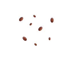 Coffee Beans Vector