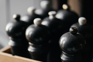 Salt and Pepper shakers. salt and pepper shakers on the table and blur background. kitchen interior. salt pepper shakers. 