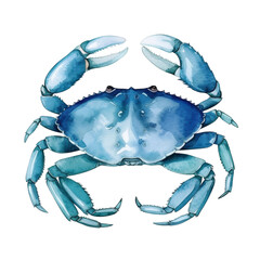 Beautiful watercolor illustration of a blue crab with intricate details showcasing vivid colors and textures, perfect for seafood or coastal themes in various designs