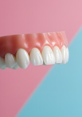 Obraz premium Denture Model on Pink and Blue Background Dental Health, Teeth, and Gum Anatomy Visual.