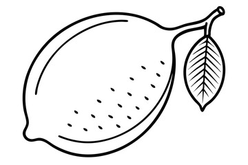 Fruit Line Art Vector Illustration – Minimalist Clipart, Logo Icon Design on White Background