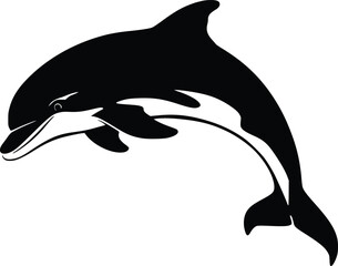 Bold Black And White Leaping Dolphin. Vector Illustration Isolated On White © Syed  39