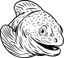 Bold Black And White Moray Eel Peeking. Vector Illustration Isolated On White