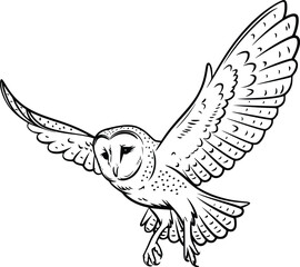 Bold Black And White Barn Owl In Flight. Vector Illustration Isolated On White